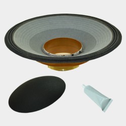 FA2241GP 4Ω RECONE KIT